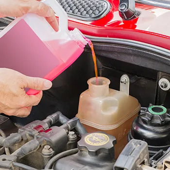 Fluid Services in Berkeley, CA